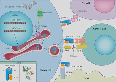 fig3