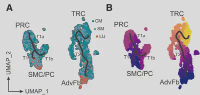 fig3
